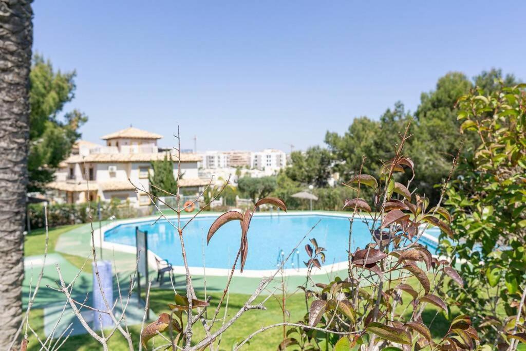 Casa Lilly-Rose, A Beautiful 3 Bedroom Detached Villa A Short Walk To The Villamartin Plaza & Golf Course Eksteriør billede